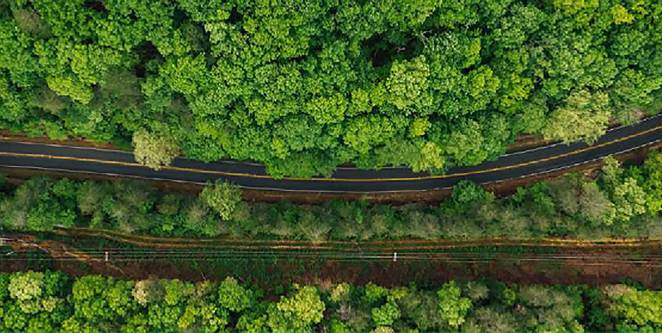 Course Image [2025] ASFI Academy: Safeguarding nature in linear infrastructure projects